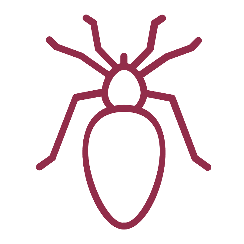 Flea, tick and worms icon