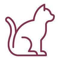 Cat icon
