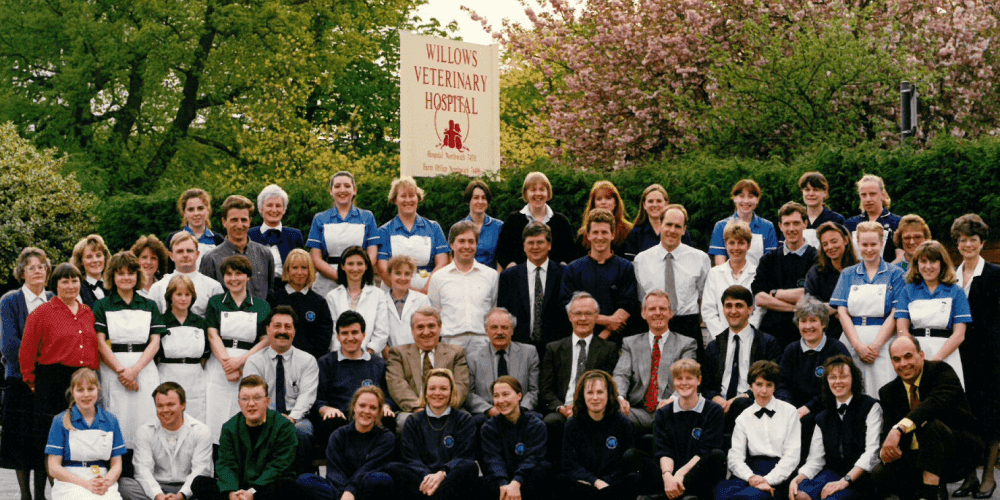 Willows group history image