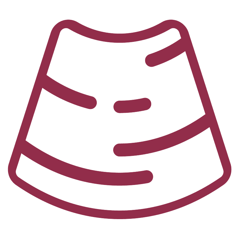 Ultrasonography icon
