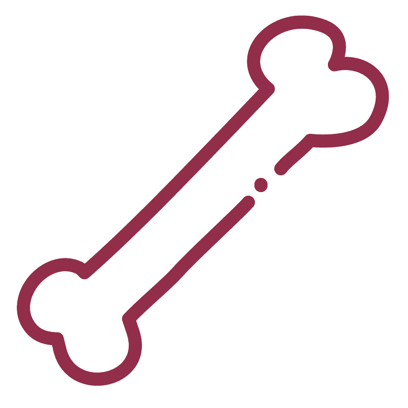 X-ray icon