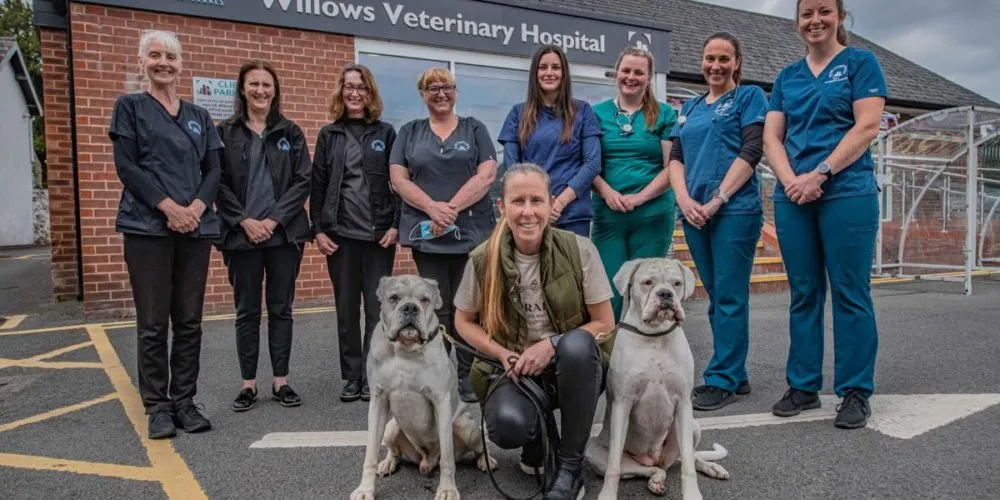 Vets in Hartford named best in Cheshire once again