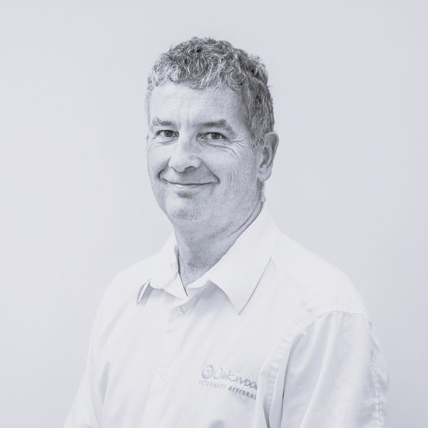 Ian-Hopkins-WVG-Web