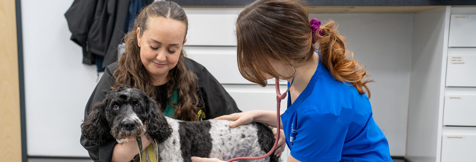 The Willows Veterinary Group - Beech House (Web) 009