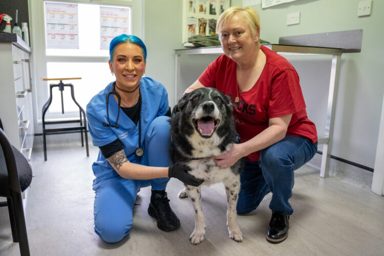 New lease of life for veteran Manchester pet after football-sized lump removed 